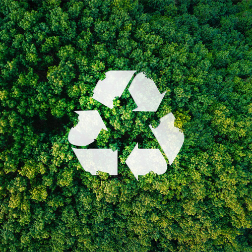 Our Environmental Policy